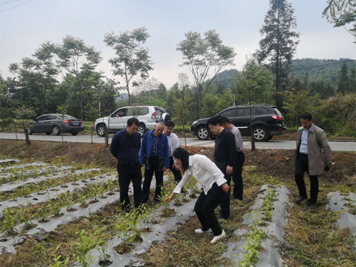 海利集團,長沙殺蟲劑,長沙光氣衍生物,長沙氨基酸保護劑,長沙鋰離子電池材料